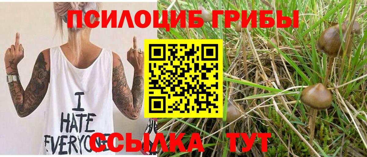 Галлюциногенные грибы MAGIC MUSHROOMS  Вход с VPN  Барнаул 