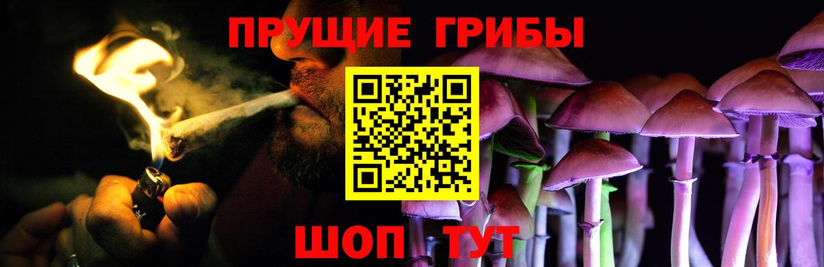 Псилоцибиновые грибы Cubensis Барнаул